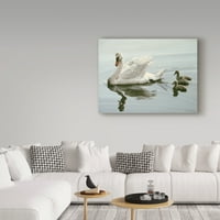 Изобразително изкуство 'Ням лебед и три лебеда' от Рон Паркър