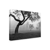 Изобразително изкуство-утринна мъгла Фармингтън Хилс Мичиган-изкуство от Монте Нейглър