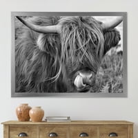 Дизайнарт 'близък план на шотландска крава на Мавриций' Ферма рамка Арт Принт
